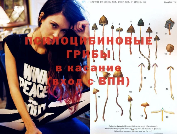 каннабис Верея